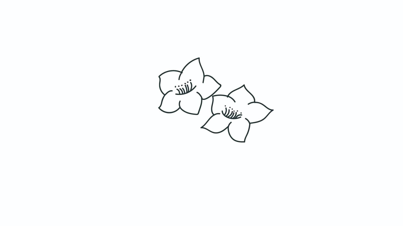 桃花简笔画怎么画 桃花简笔画步骤