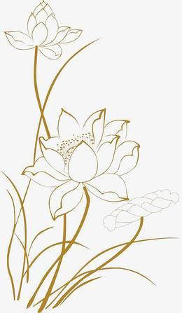 荷花简笔画 荷花简笔画怎么画