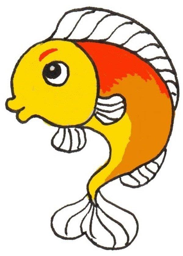 小鲤鱼的简笔画怎么画 小鲤鱼的简笔画好看