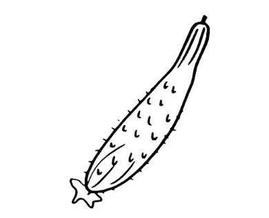 黄瓜简笔画 黄瓜简笔画怎么画