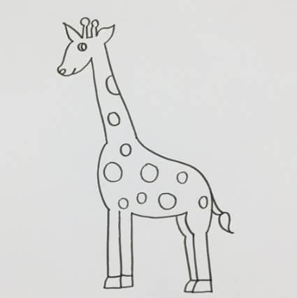 简笔画长颈鹿 简笔画长颈鹿彩色