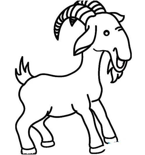 山羊简笔画图片大全 山羊简笔画图片大全可爱彩色