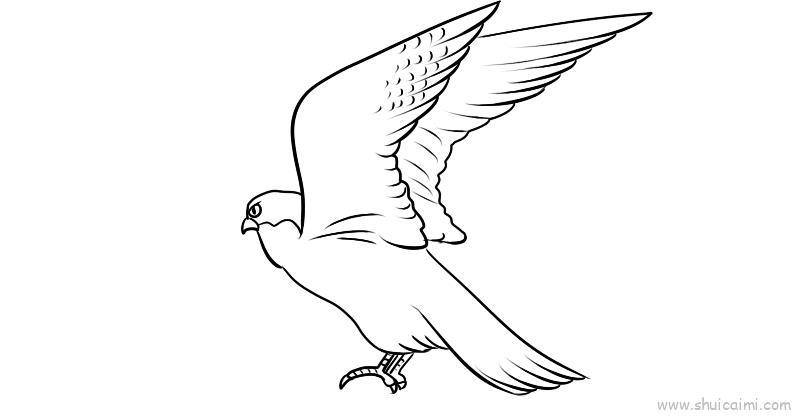 燕隼儿童画怎么画 燕隼简笔画顺序