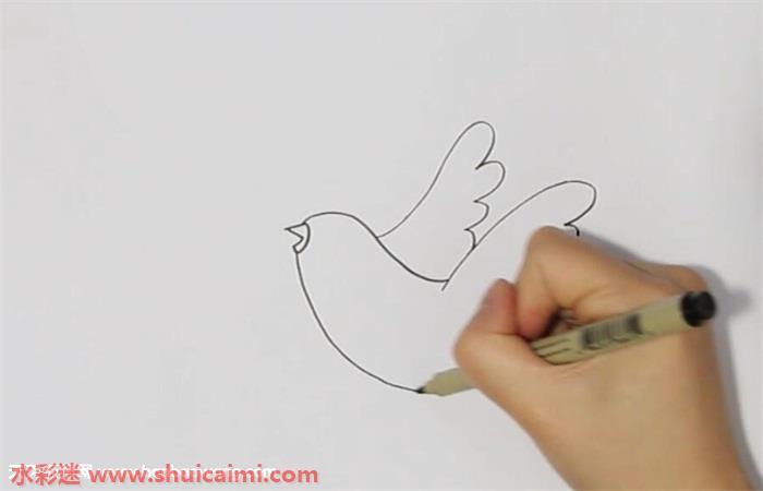 信鸽怎么画 信鸽简笔画简单好看带颜色