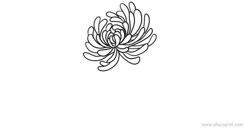 菊花儿童画怎么画 菊花简笔画简单又好看