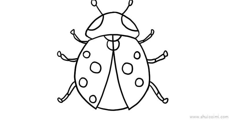 七星瓢虫儿童画怎么画 七星瓢虫简笔画步骤