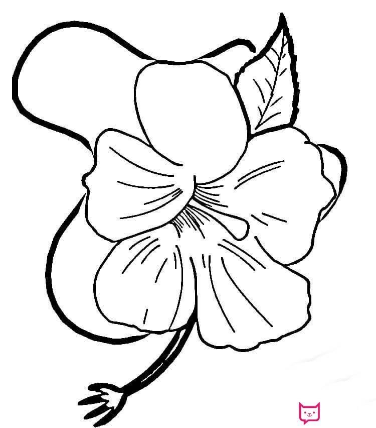 芙蓉花简笔画 芙蓉花简笔画简单