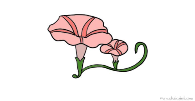 牵牛花儿童画怎么画 牵牛花简笔画好看