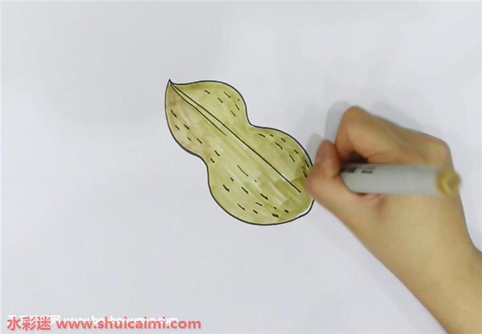 花生怎么画 花生简笔画图片带颜色