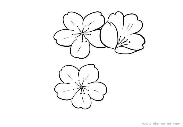 樱花儿童画怎么画 樱花简笔画图片