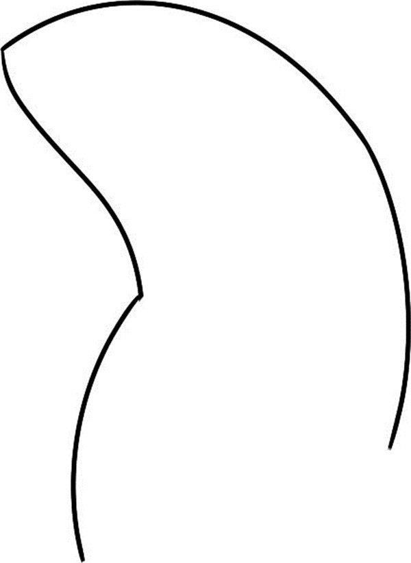 顶球的海豹的简笔画怎么画 顶球的海豹简笔画步骤