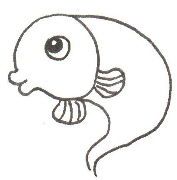 小鲤鱼的简笔画怎么画 小鲤鱼的简笔画好看