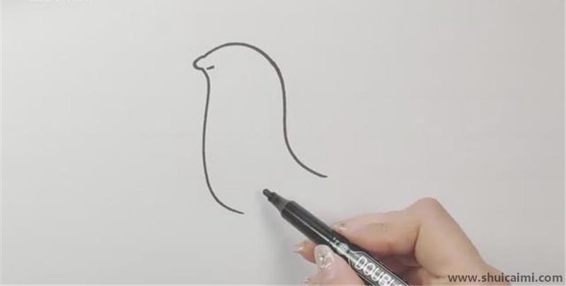 怎么画一只可爱的海豹简笔画？海豹的画法步骤分享