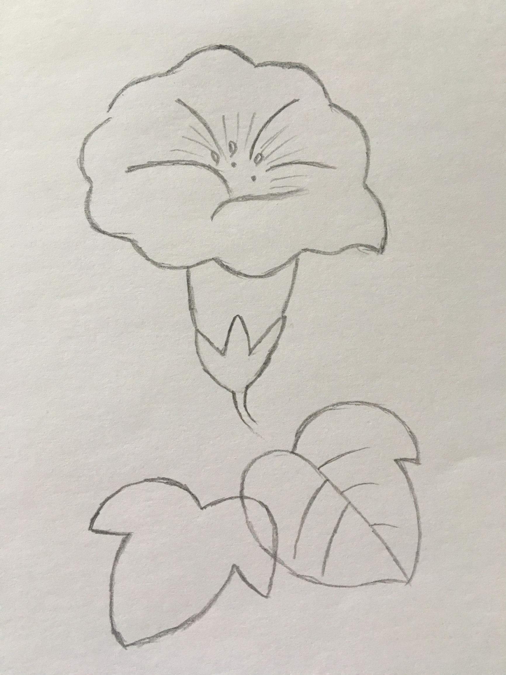 喇叭花简笔画 喇叭花简笔画图片大全