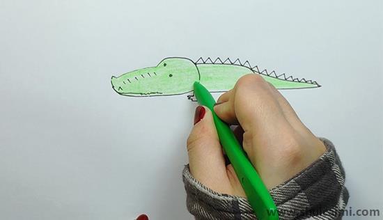鳄鱼儿童画怎么画 鳄鱼简笔画彩色图片大全