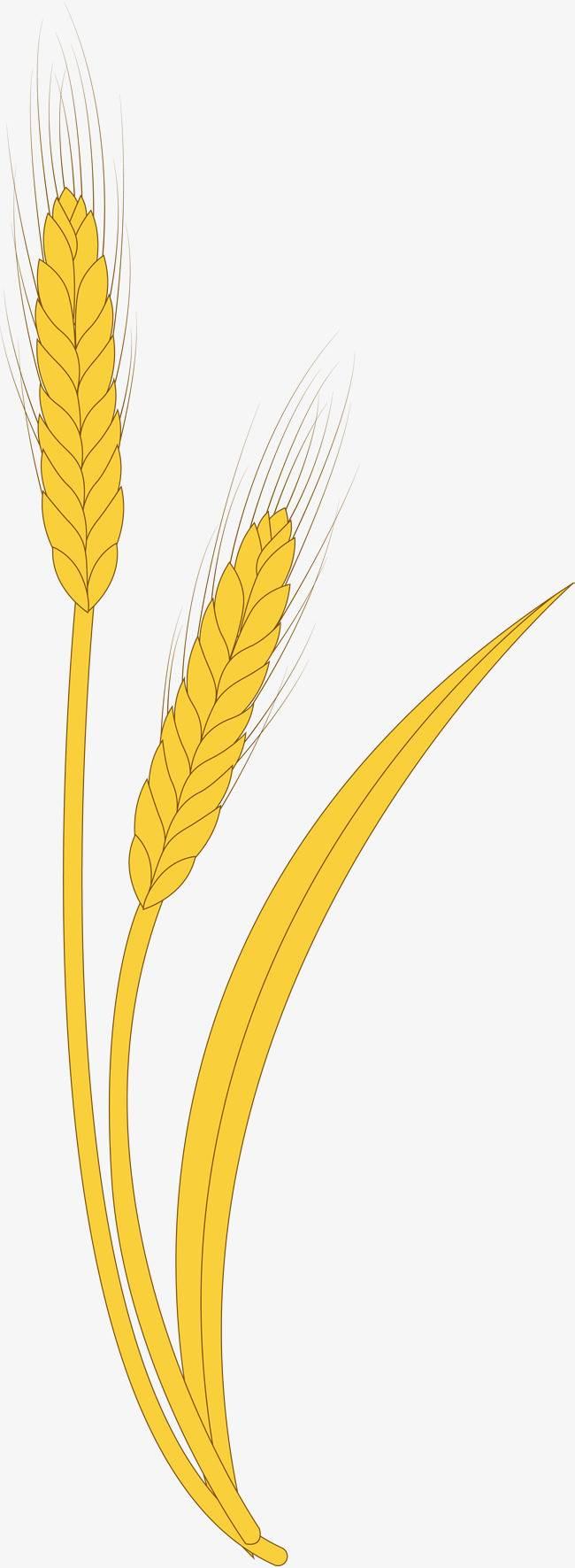麦穗简笔画 麦穗简笔画简单又好看
