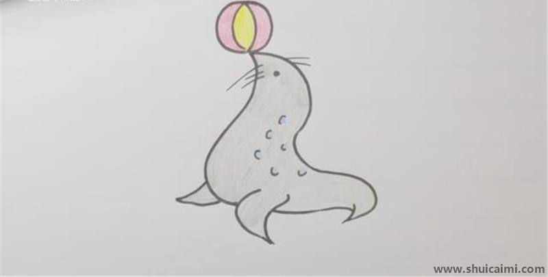 海豹儿童简笔画怎应该怎么画，海豹简笔画的详细步骤教程