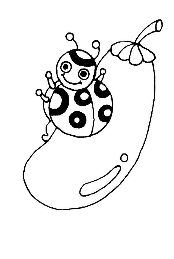 瓢虫简笔画 瓢虫简笔画儿童画
