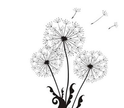 蒲公英简笔画 蒲公英简笔画彩色