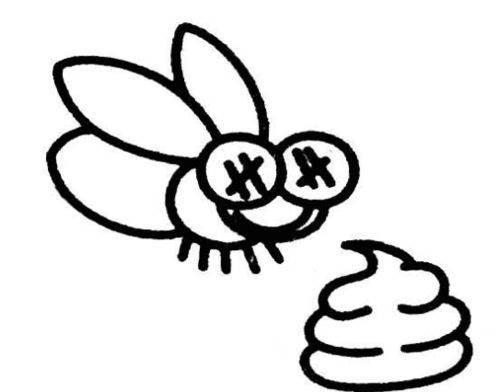 苍蝇简笔画 苍蝇简笔画彩色