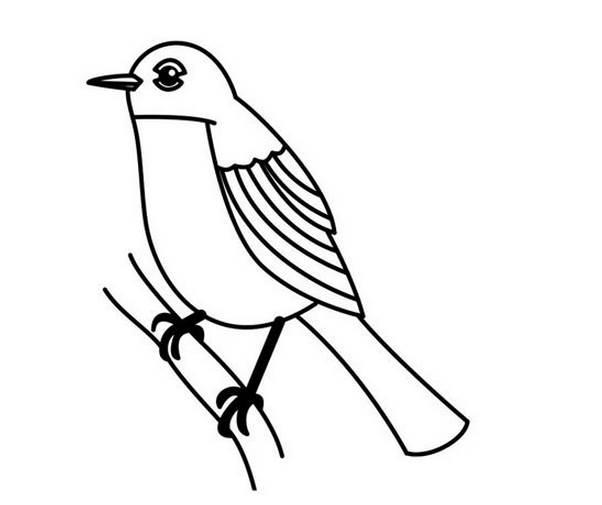 小鸟简笔画图片大全可爱 小鸟简笔画图片大全可爱好看