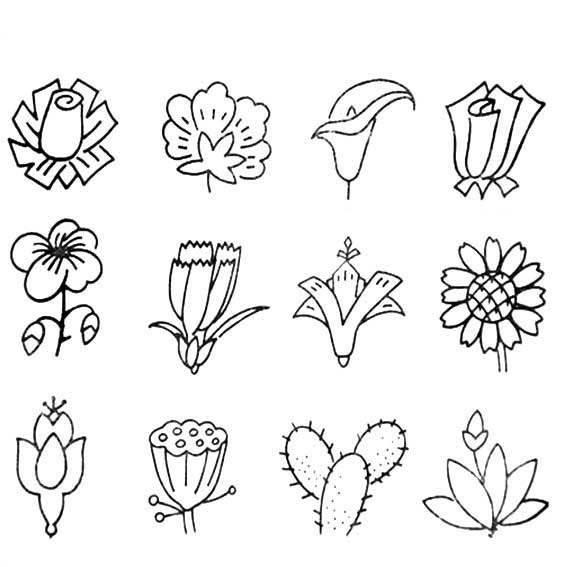 花简笔画 花简笔画罂粟花