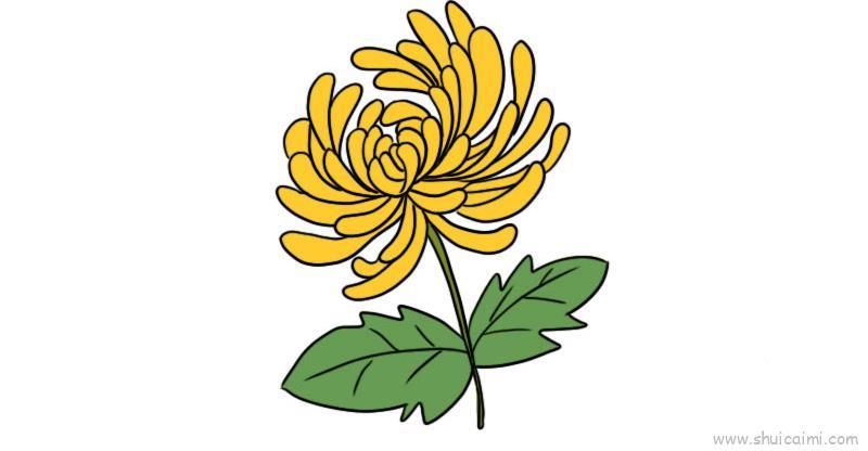 菊花儿童画怎么画 菊花简笔画图片