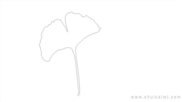 银杏叶简笔画怎么画 银杏叶简笔画顺序