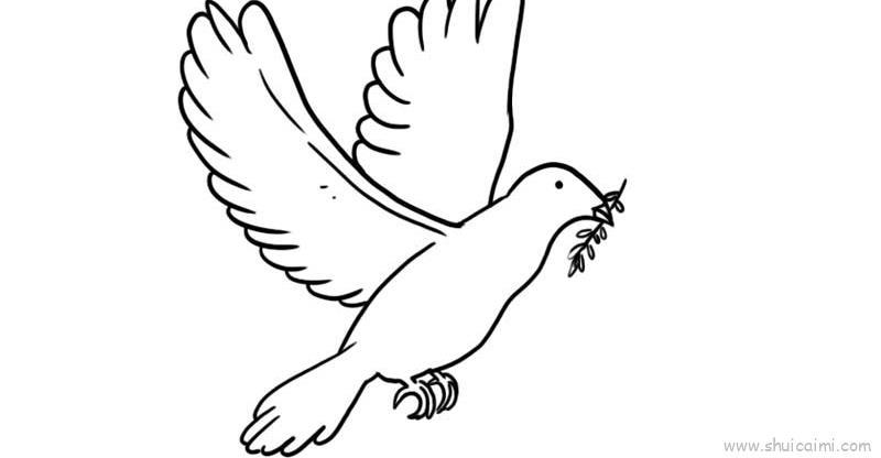 和平鸽儿童画怎么画 和平鸽简笔画图片大全