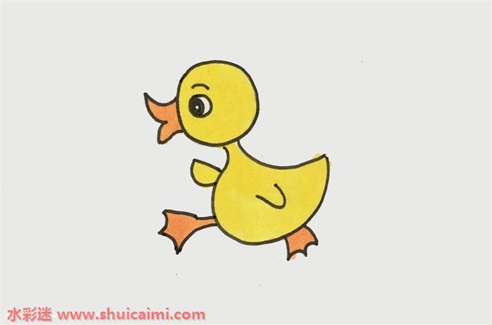 小鸭怎么画 小鸭简笔画简单好看彩色
