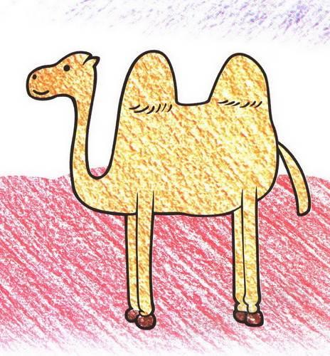 骆驼的简笔画图片大全 骆驼的简笔画图片大全大图