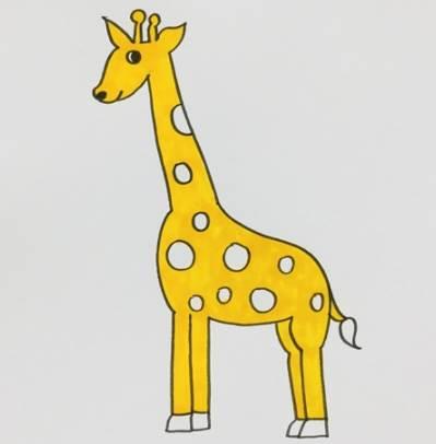 简笔画长颈鹿 简笔画长颈鹿彩色