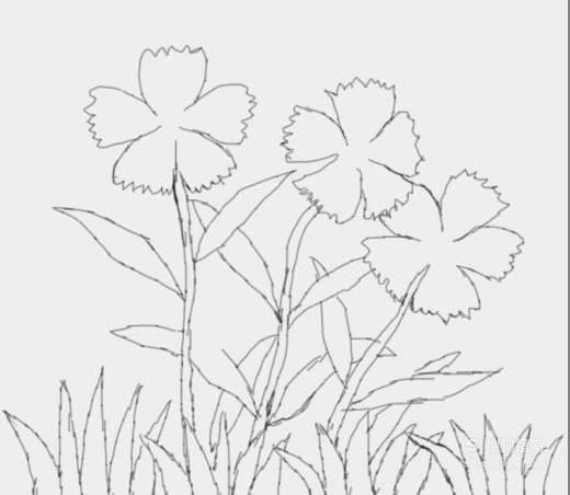 简笔画图片大全花草类 简笔画图片大全花草类有颜色