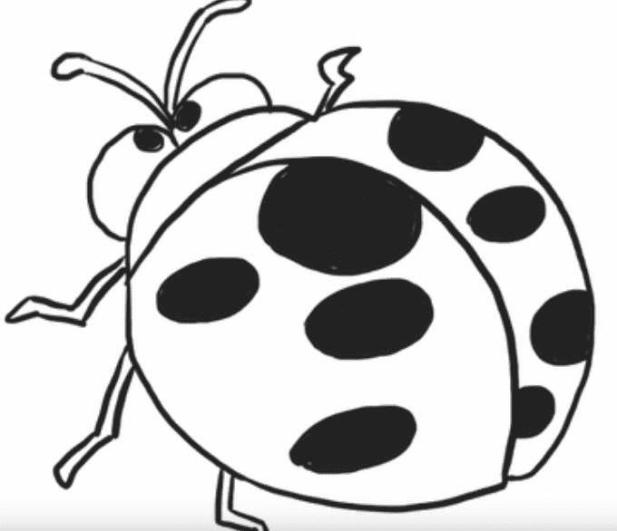 七星瓢虫简笔画 七星瓢虫简笔画图片大全