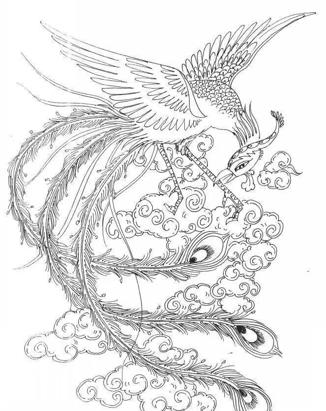 凤凰简笔画 凤凰简笔画霸气