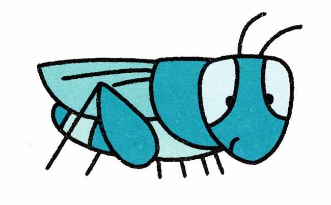 蚂蚱简笔画 蚂蚱简笔画简单又漂亮
