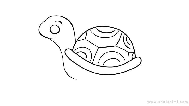 乌龟简笔画怎么画 乌龟简笔画图片大全