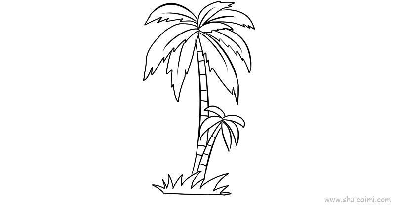 椰树儿童画怎么画 椰树简笔画顺序