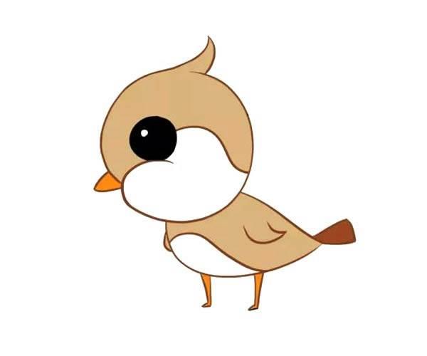 麻雀简笔画 麻雀简笔画带颜色