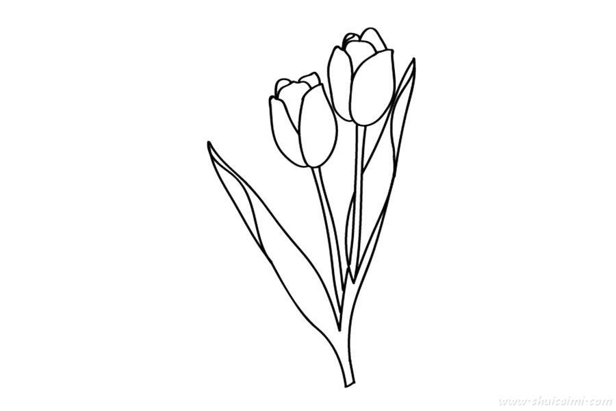 花朵郁金香怎么画 花朵郁金香简笔画步骤图