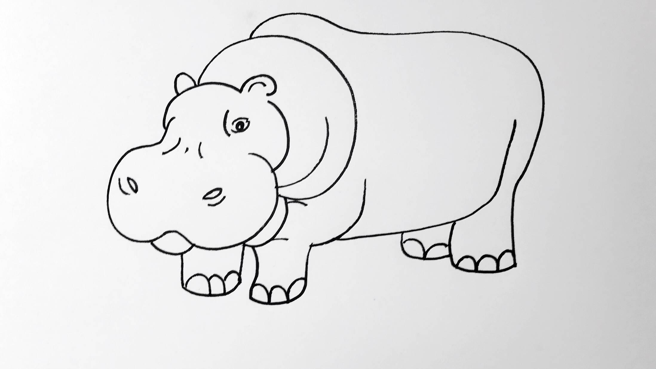 河马简笔画 河马简笔画彩色