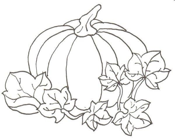 南瓜的简笔画怎么画 南瓜的简笔画顺序