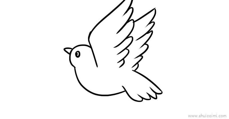 白鸽儿童画怎么画 白鸽简笔画简单又好看