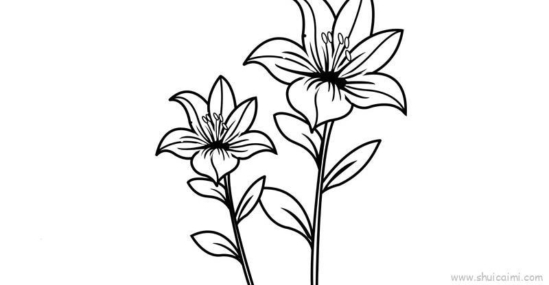 花儿童画怎么画 花简笔画顺序