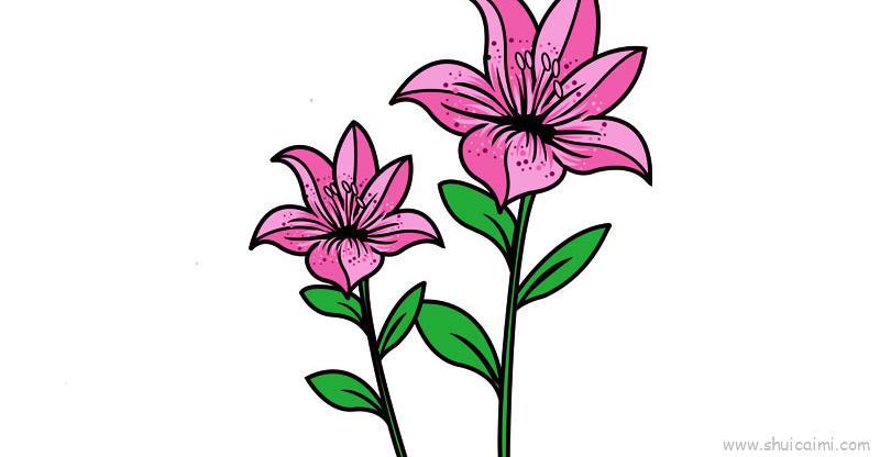 花儿童画怎么画 花简笔画顺序