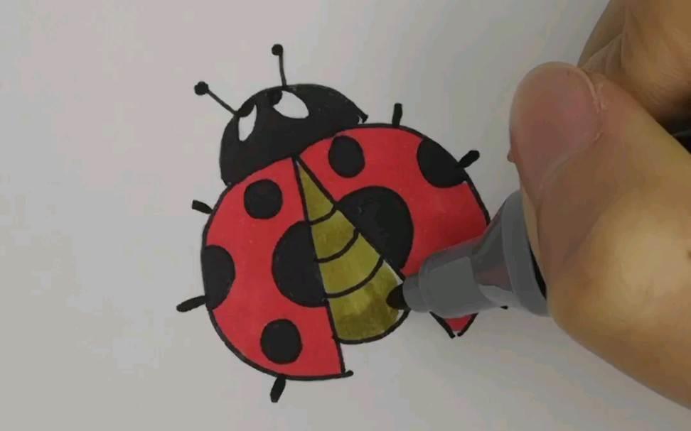 瓢虫简笔画 瓢虫简笔画儿童画