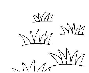 小草简笔画图片大全 小草简笔画图片大全大图彩色