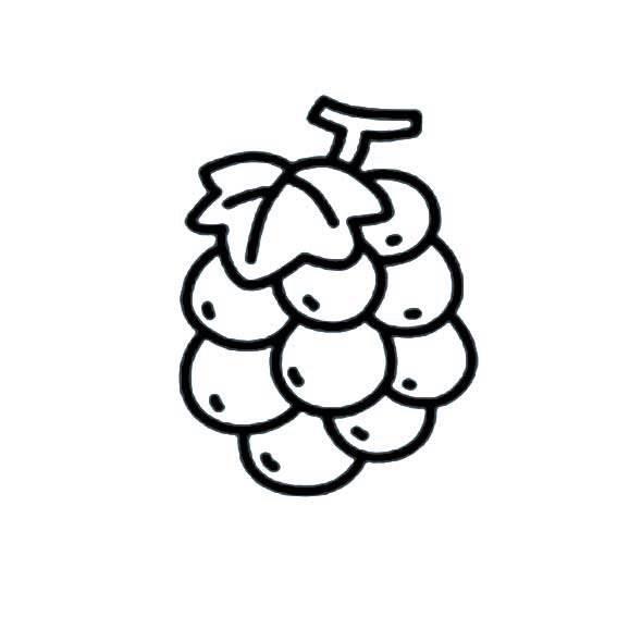 水果简笔画图片大全大图 各种水果简笔画图片大全大图