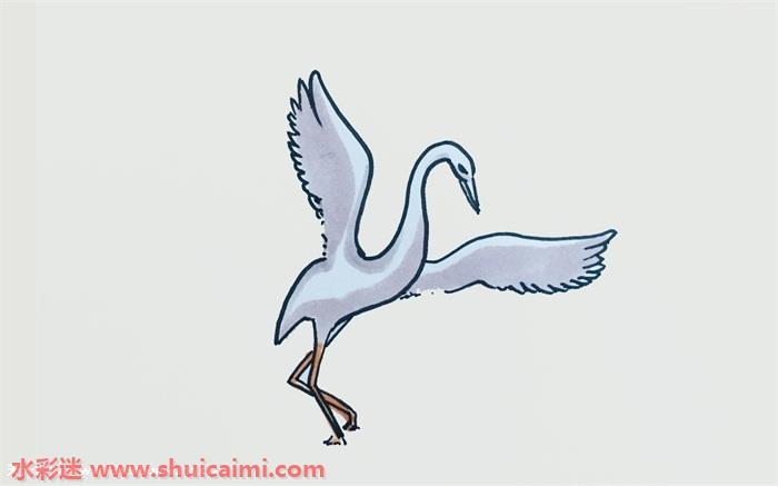 白鹭简笔画怎么画图片彩色