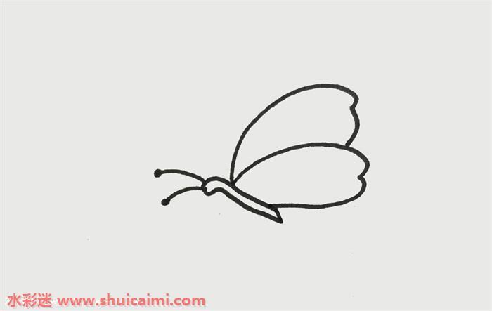 蝴蝶怎么画 一笔一画教蝴蝶简笔画彩色